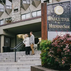 3* Hotel Mountain Side By Executive